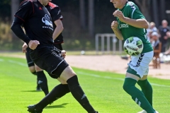 Elmshorn05