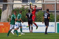 Elmshorn33