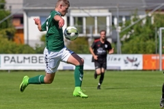 Elmshorn54