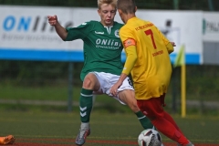 Schwerin12