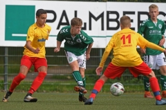 Schwerin33
