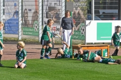 _Fototermin1