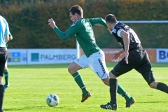 Hagenow09