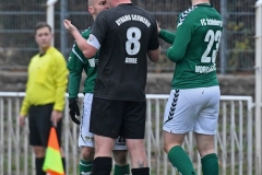 Dynamo29