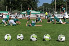 Holstein_Kiel_03