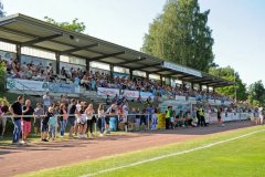 Holstein_Kiel_18