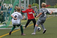 SchwerinerSC11