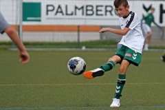 SchwerinerSC18