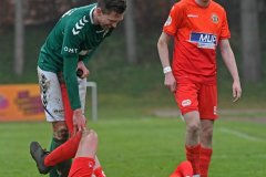 MecklenburgSchwerin46