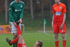 MecklenburgSchwerin47