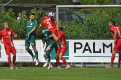 Pokal_Hansa_07