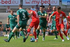Pokal_Hansa_12