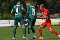 Pokal_Hansa_13