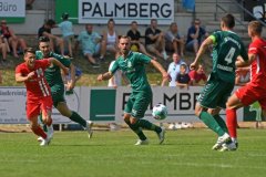 Pokal_Hansa_14