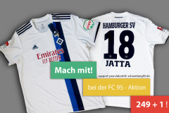 hsv-trikot