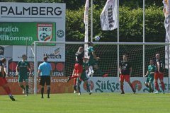 GFC13