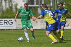 Penzlin24