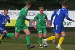 Penzlin08