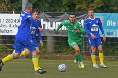 Penzlin17