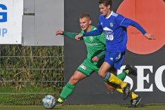 Penzlin52