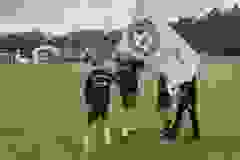 23_24_E1_Germany_Cup_18