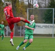 Malchow21