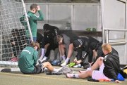 Trainingsauftakt12