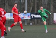 Siedenbollentin39