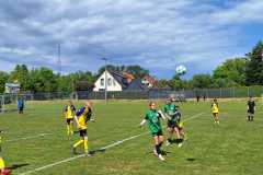 24_25_D1_NeumuehlerSV_03