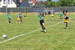 24_25_D1_NeumuehlerSV_05