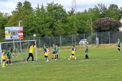 24_25_D1_NeumuehlerSV_09