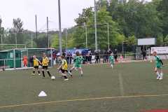 24_25_F1_SportfreundeSchwerin_01
