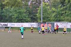 24_25_F1_SportfreundeSchwerin_03