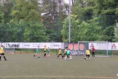 24_25_F1_SportfreundeSchwerin_04