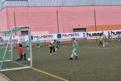 24_25_F1_SportfreundeSchwerin_05