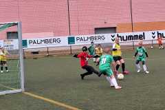 24_25_F1_SportfreundeSchwerin_06