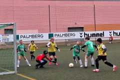 24_25_F1_SportfreundeSchwerin_07