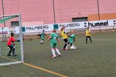 24_25_F1_SportfreundeSchwerin_08