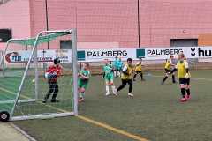 24_25_F1_SportfreundeSchwerin_09