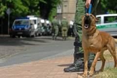 G20080614_Lok_03
