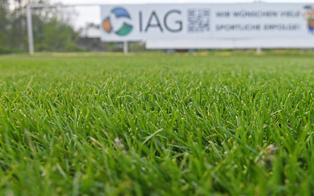 Top-Rasen dank IAG