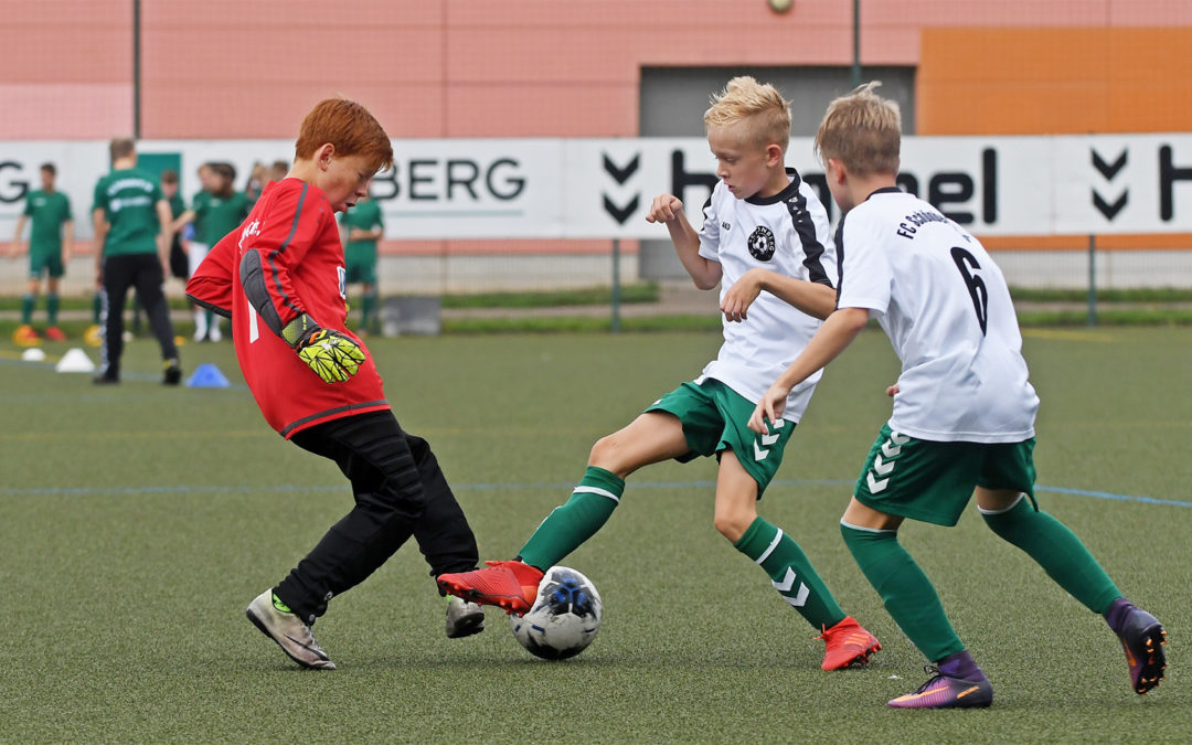 Gelungener Saisonstart der D1