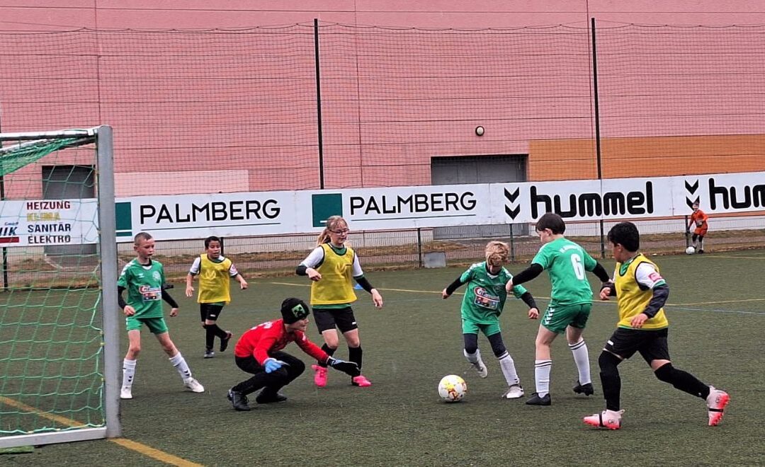 Imposante Heimbilanz der F1