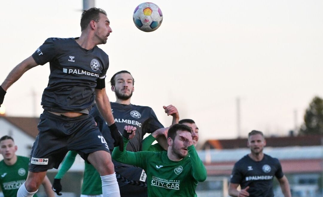 „Halki“ und „Mulle“ bleiben an der Maurine